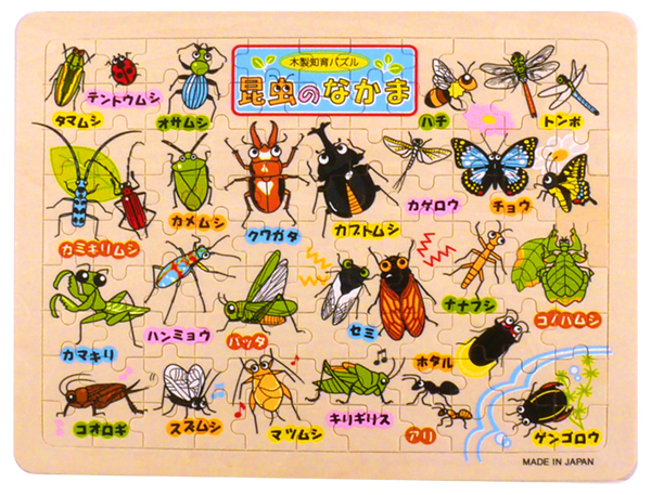 木製知育パズル昆虫のなかま